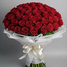 Букет 101 Красная роза Блэк Мэджик в Сергокале