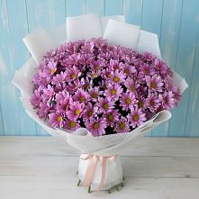 Букет цветов из:  Хризантемы #REPLACE_PRED# Сергокале