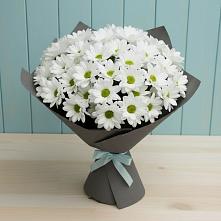 Букет цветов из:  Хризантемы #REPLACE_PRED# Сергокале