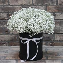 Цветочная композиция из Гипсофила в шляпной коробке #REPLACE_PRED# Сергокале