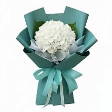Букет цветов из:  Гортензия в Сергокале